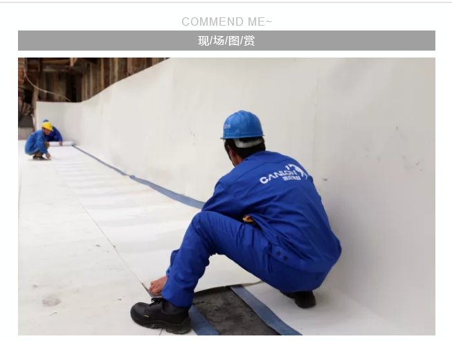 银娱优越会(中国游)股份有限公司