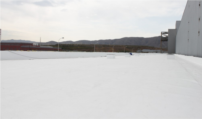 银娱优越会(中国游)股份有限公司